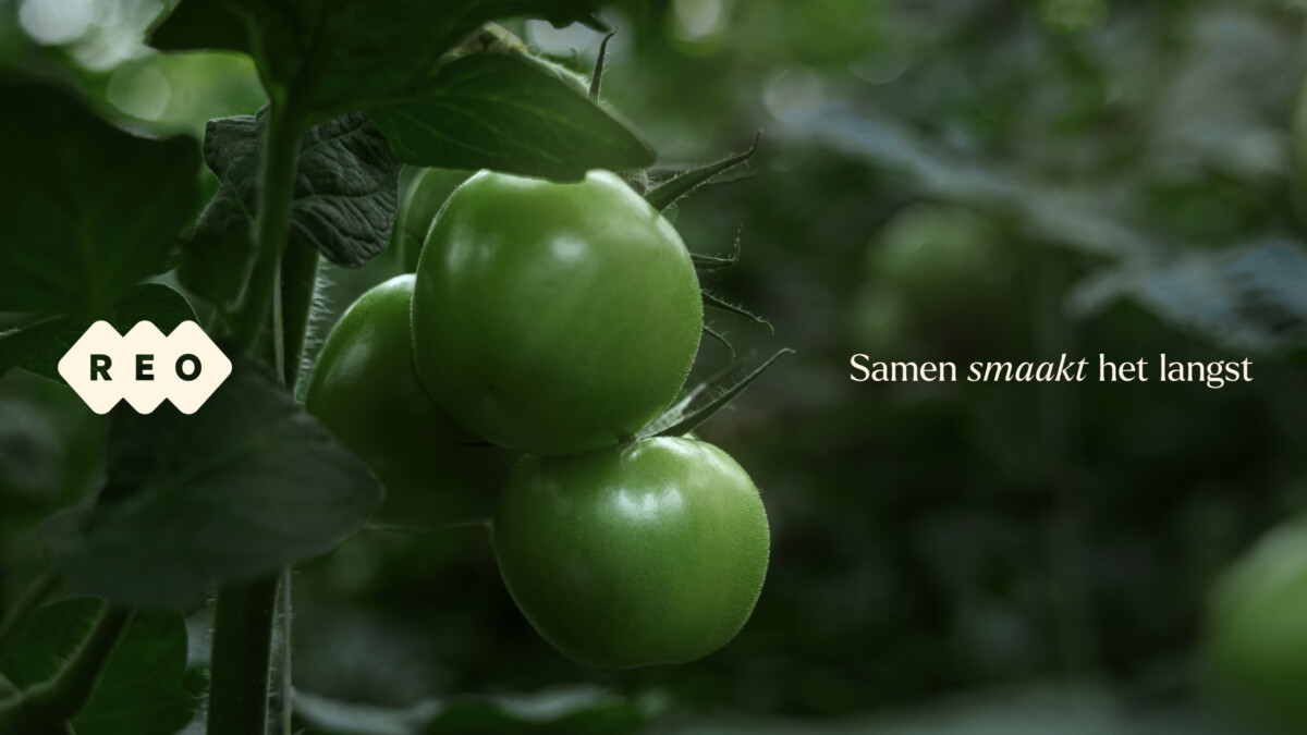 MOQO REO 1920x1080 18