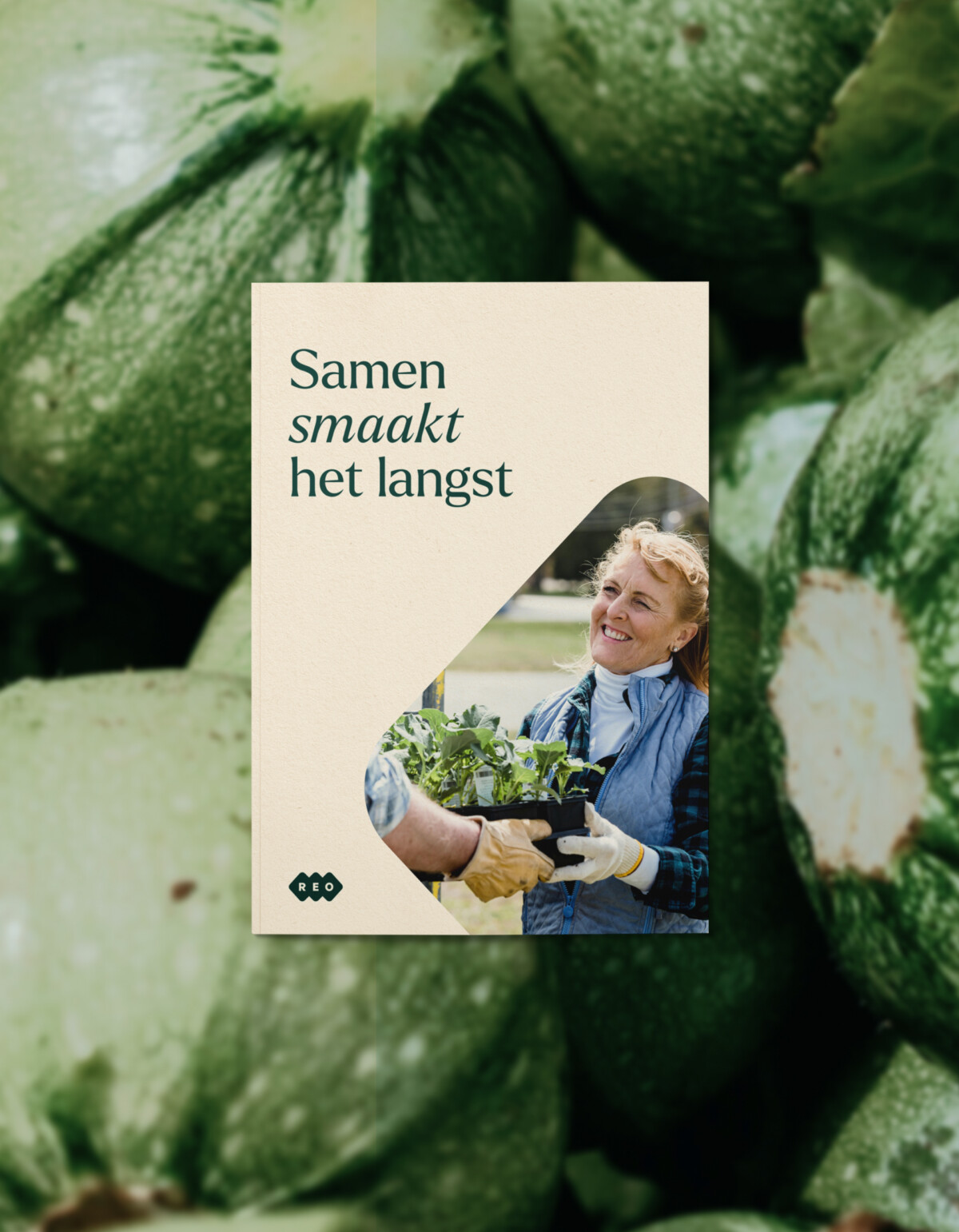 MOQO REO 1920x1080 17