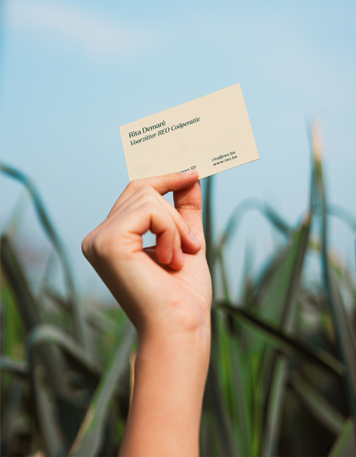 MOQO REO 1920x1080 8