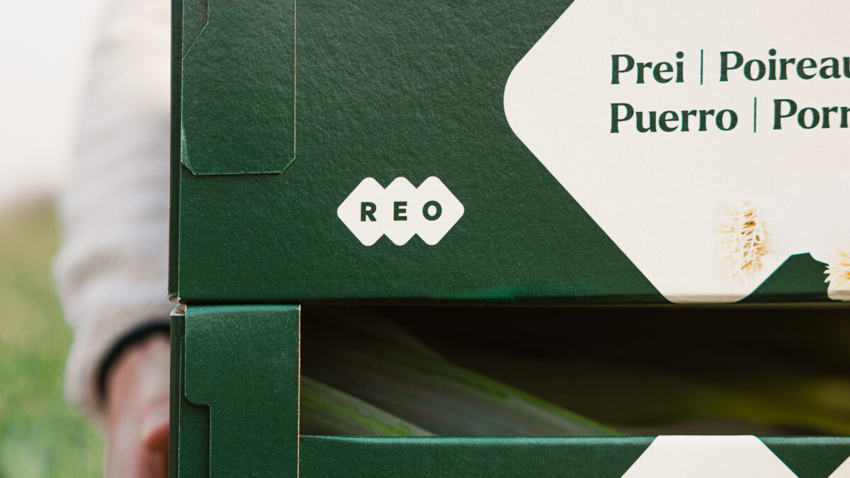 MOQO REO 1920x1080 2